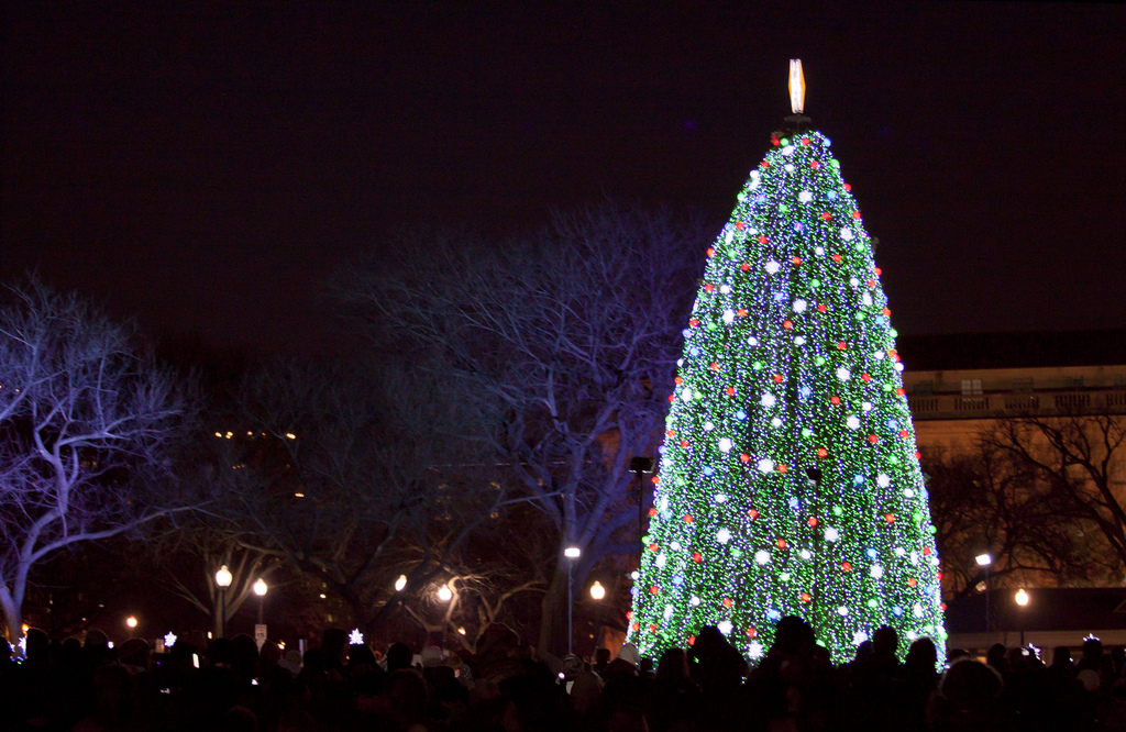 christmas tree lighting moving happiness home christmas tree lighting moving happiness home