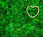 green heart