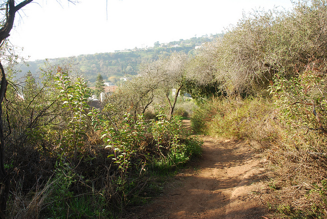 Hiking trail hiking trail