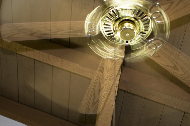 Ceiling Fan Ceiling Fan