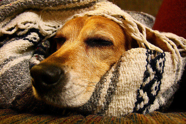 All Wrapped Up All Wrapped Up