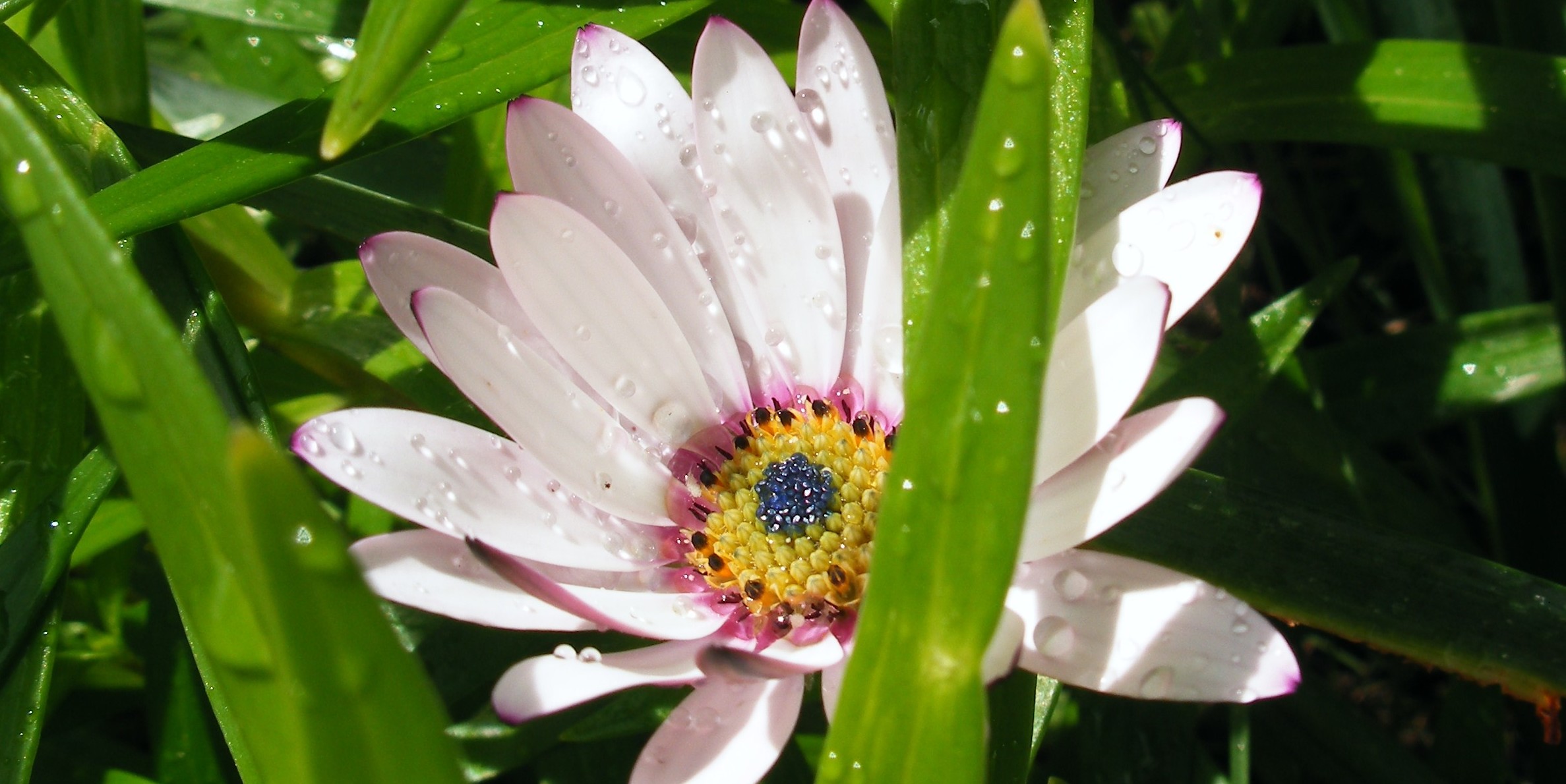 Moving to Calabasas, CA Moving Happiness Home