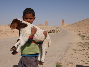 Heifer International (Photo by edbrambley)