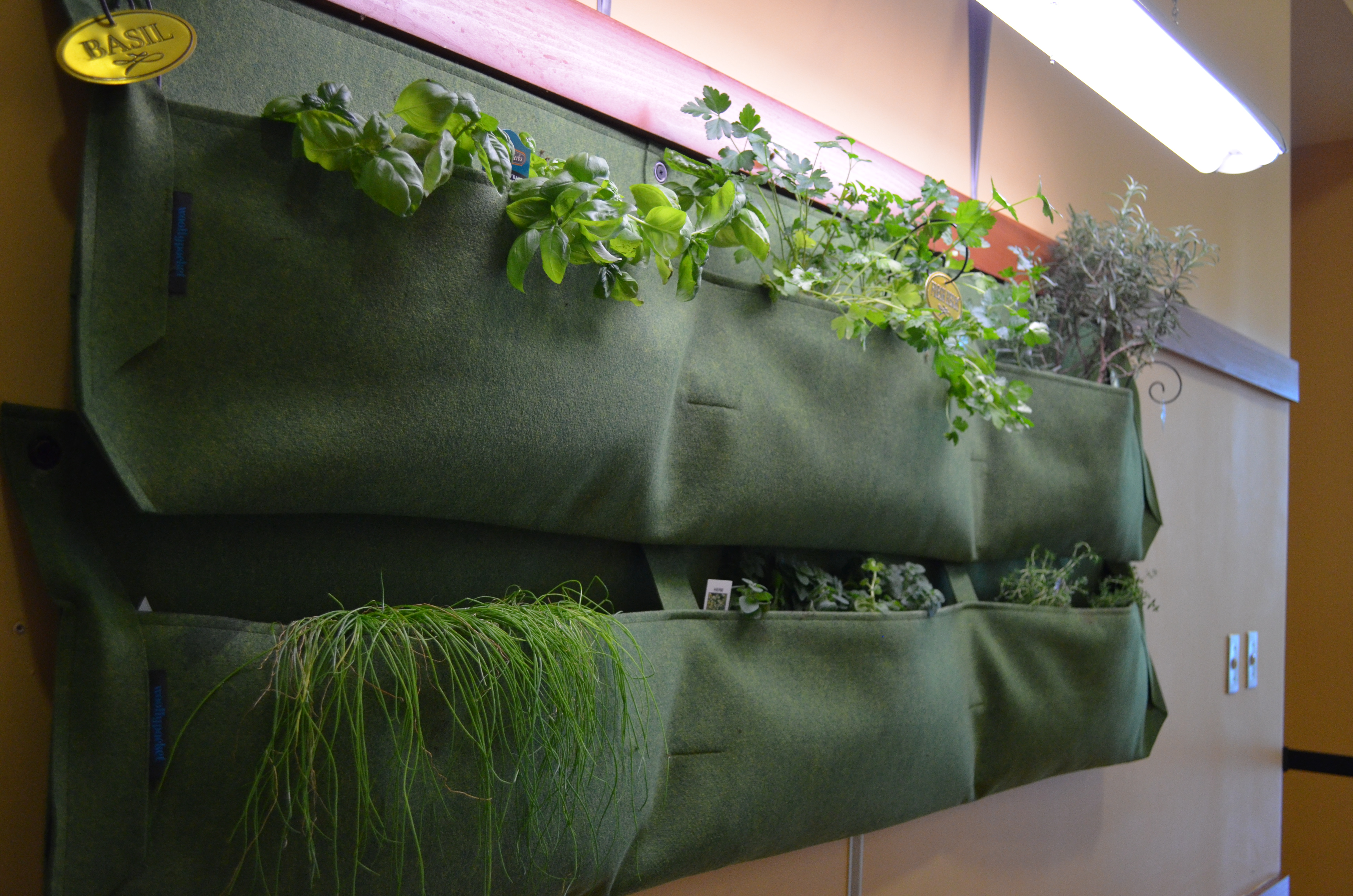 Have Fun with Indoor Gardening | Moving Happiness Home