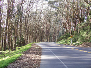 Presidio Boulevard by azza-bazoo (CC BY-SA 2.0)